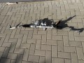 Mercedes A 177 A 1774604100 Maglownica ORYG NOWA
